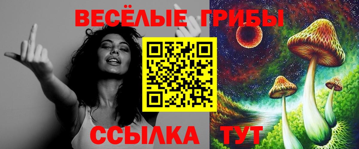 Галлюциногенные грибы прущие грибы  Вход с VPN  Губкинский  Галлюциногенные грибы прущие грибы 